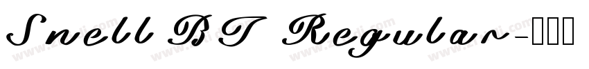 Snell BT Regular字体转换